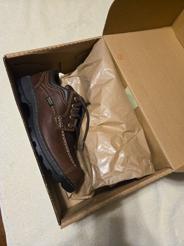 Irish setter red wing - setter,